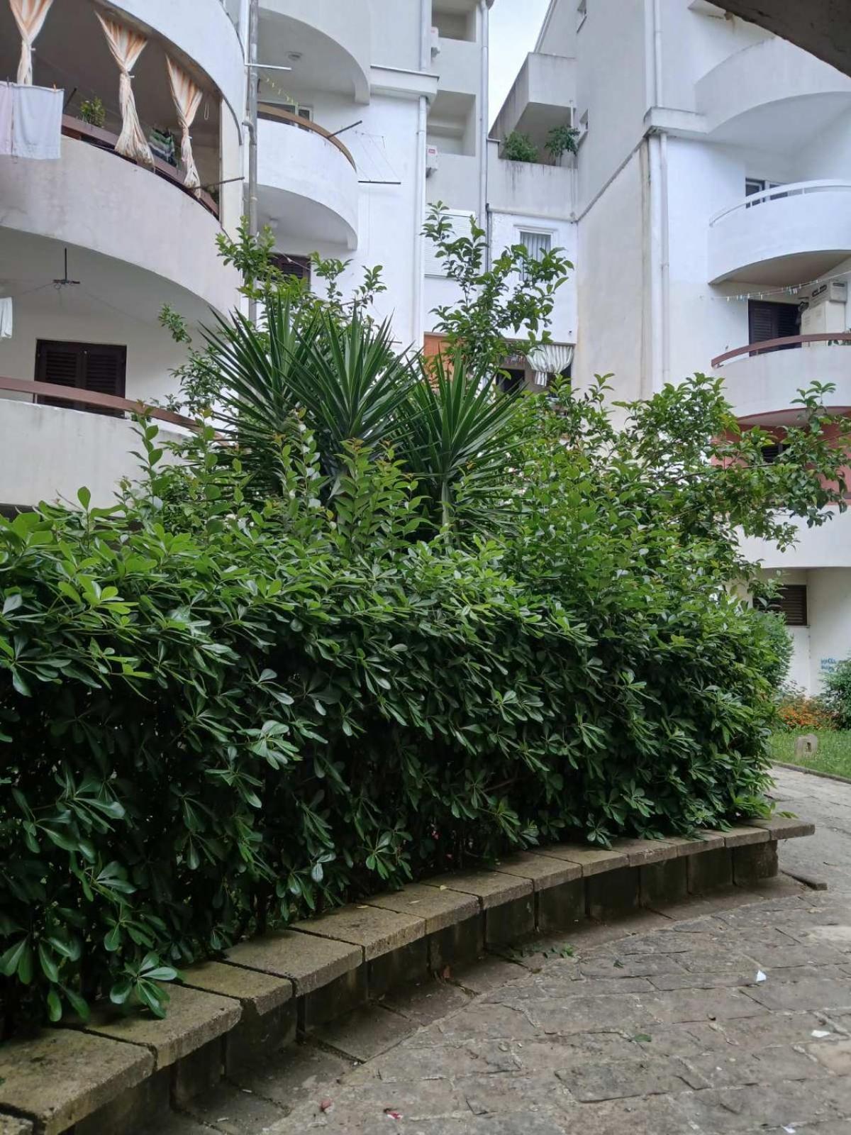 Appartement Niki Budva